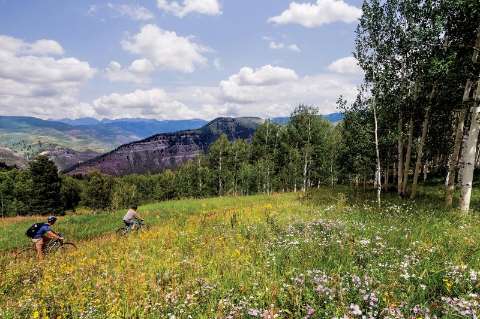 Carlton Bachelor Gulch