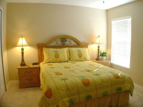 Ocean 310