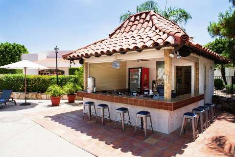 Accommodation - Embassy Suites by Hilton Scottsdale Resort - Pool view - Scottsdale