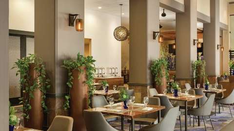 Accommodation - Hilton Scottsdale Resort and Villas - Restaurant