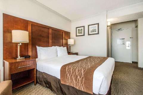 Accommodation - Comfort Inn By The Bay - Guest room - Fishermans Wharf