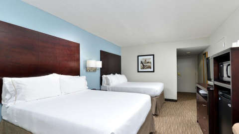 Hébergement - Holiday Inn Express & Suites TAMPA/ROCKY POINT ISLAND - Tampa