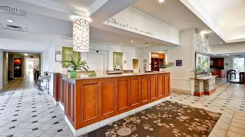 Accommodation - Hilton Garden Inn Tampa North - Temple Terrace