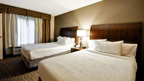 Accommodation - Hilton Garden Inn Tampa North - Temple Terrace