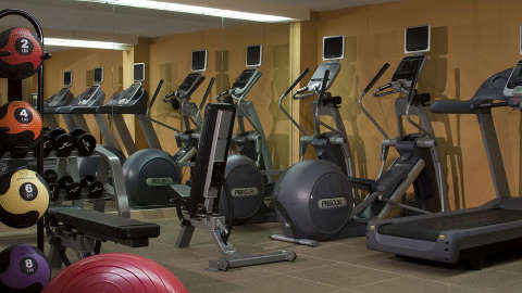 Accommodation - Hilton Tampa Airport Westshore - Tampa