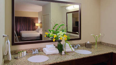 Accommodation - DoubleTree Suites by Hilton Tampa Bay - Tampa