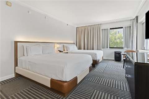 Accommodation - Capital Hilton - Guest room - Washington