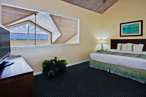 Accommodation - Holiday Inn & Suites Harbourside - Florida