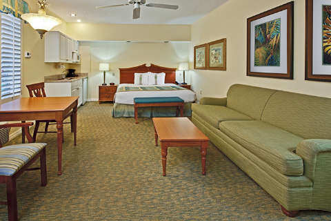 Accommodation - Holiday Inn & Suites Harbourside - Florida