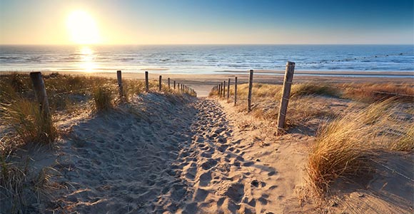 Camino a una playa de arena en Países Bajos.
